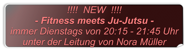 !!!!  NEW  !!!!  - Fitness meets Ju-Jutsu -  immer Dienstags von 20:15 - 21:45 Uhr unter der Leitung von Nora Mller